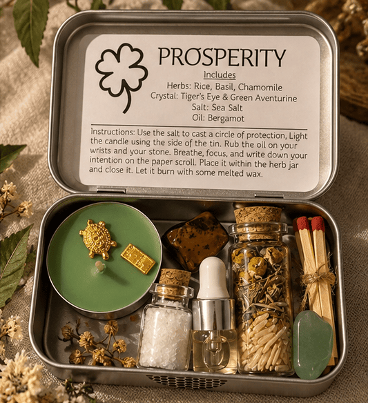 Prosperity Mini Self-Care Ritual Tin - Northern Moon Apothecary